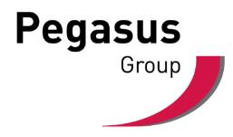 Pegasus Group Logo